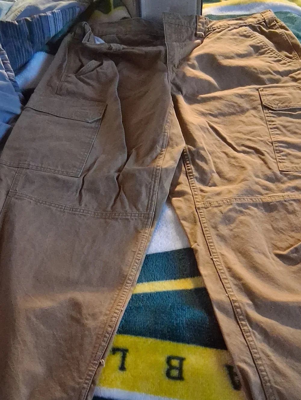 Brahma Men's Cargo Pants in Brown